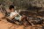 wooden-guitar-green-safari-friends-LD7470-1 - Large.jpg