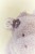 cuddle-hippo-grey-LD8361-4 - Large2.jpg