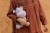 cuddle-hippo-grey-LD8361-5 - Large1.jpg