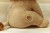 Przytulanka Lew 25cm Safari Friends GRS Little Dutch