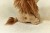 cuddle-lion-yellow-17-cm-LD8359-5 - Large.jpg