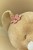 Przytulanka Lwica 25cm Safari Friends GRS Little Dutch