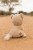cuddle-lioness-17-cm-LD8357-3 - Large.jpg