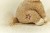 cuddle-lioness-17-cm-LD8357-6 - Large.jpg