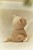 cuddle-lioness-17-cm-LD8357-8 - Large.jpg