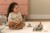 mix-safari-LD8357-LD7482-1 - Large.jpg
