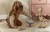 mix-safari-2017508-LD8354-LD7450-1 - Large.jpg