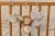 baby-gym-LD8310-1 - Large.jpg