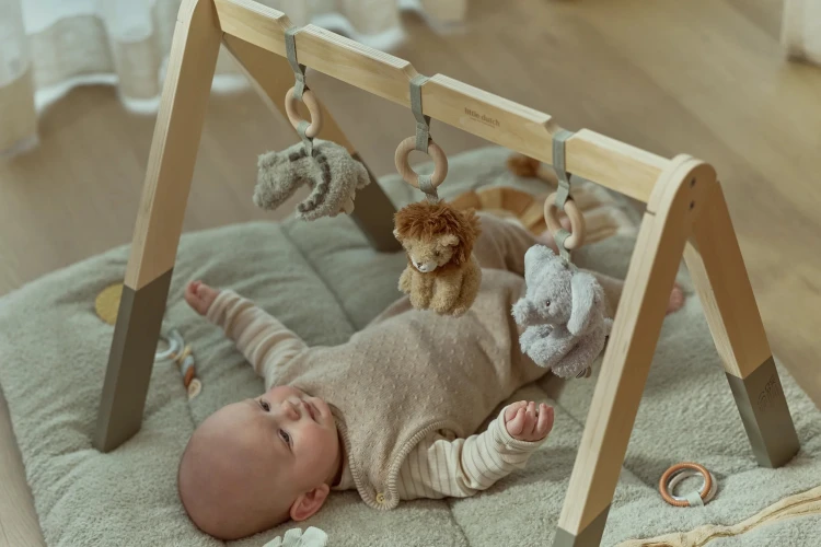 baby-gym-LD8310-4 - Large2.jpg