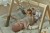 baby-gym-LD8310-6 - Large.jpg
