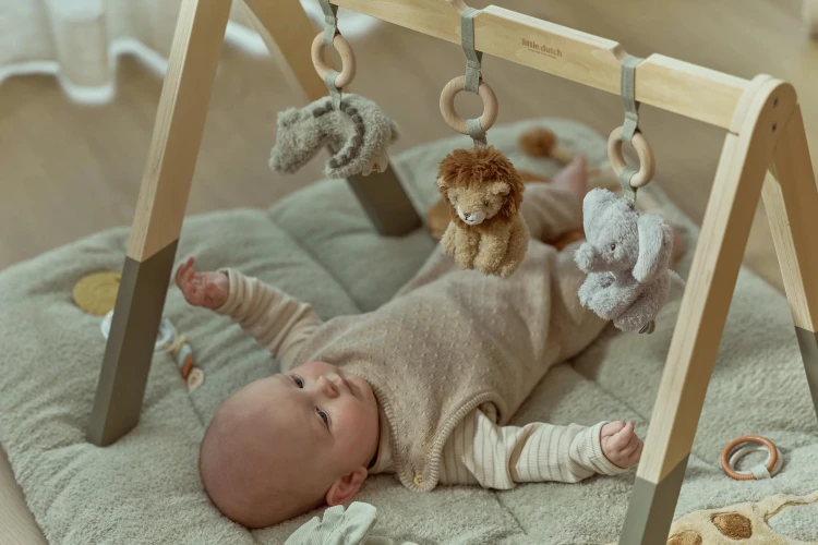baby-gym-LD8310-6 - Large.jpg