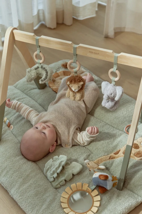 baby-gym-LD8310-11 - Large.jpg