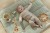 activity-play-mat-LD8308-2 - Large1.jpg