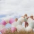 S51PRGRN_13.webp