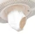 S61BSGDF5.webp