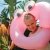 S61KFPPR_11.webp