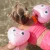 S61IABPP_10.webp