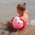 S61IABPP_14.webp