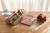 jim’s-firestation-reusable-stickerstory-126794-2 - Large.jpg
