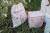 mix-bag-fairy-garden-ld4912-ld4914-2 - Large.jpg