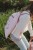 gym-bag-fairy-garden-ld4914-2 - Large.jpg