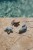summer-2026-swim-beach-collection-85 - Large.jpg