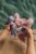 summer-2026-swim-beach-collection-95 - Large.jpg