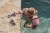 summer-2026-swim-beach-collection-318 - Large.jpg