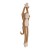 cuddle-dangly-monkey-xl-brown-ld8351-product-4 - Large.jpg