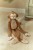 cuddle-dangly-monkey-xl-brown-LD8351-1 - Large2.jpg