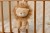 music-box-lion-yellow-LD8330-1 - Large.jpg