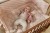 cuddle-cloth-flamingo-pink-LD8329-9 - Large.jpg