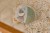 activity-ball-LD8325-1 - Large.jpg