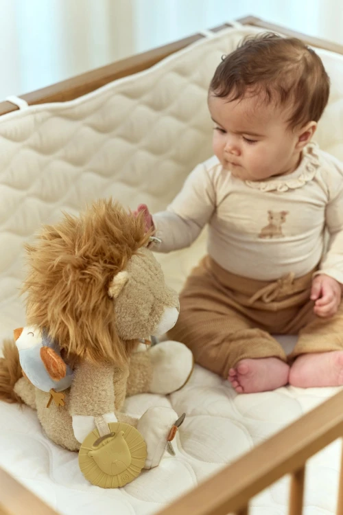 activity-cuddle-lion-yellow-LD8321-1 - Large.jpg