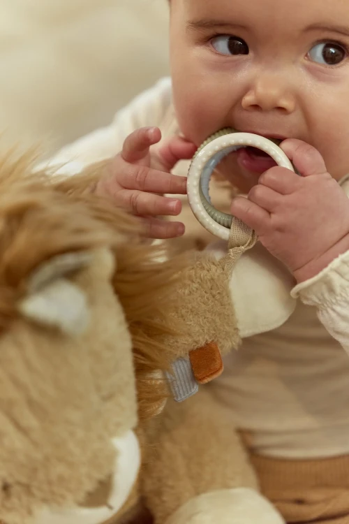 activity-cuddle-lion-yellow-LD8321-3 - Large.jpg