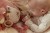 activity-cuddle-flamingo-pink-LD8318-2 - Large1.jpg