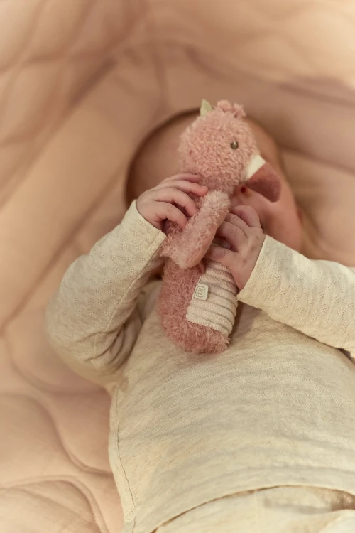 squeeze-rattle-flamingo-pink- LD8301-1 - Large.jpg
