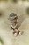 cuddle-doll-ranger-jim-35-cm-LD4686-1 - Large1.jpg