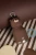 IBV44BB_2022.webp