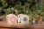 bug-viewer-fairy-garden-ld9135-forest-friends-ld9136-1 - Large.jpg