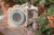 bug-viewer-forest-friends-ld9136-1 - Large.jpg