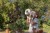 bug-viewer-forest-friends-ld9136-3 - Large.jpg