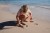 summer-2026-swim-beach-collection-495 - Large.jpg