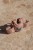 summer-2026-swim-beach-collection-91 - Large.jpg