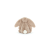 bashful-krolik-bezowy-31cm (2).jpg