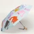 CP077.webp
