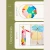 matisse-3_33df365e-f256-412d-802a-e4481455c2ab.webp