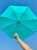 original-duckhead-mint-resistant-best-umbrella_1-scaled.webp