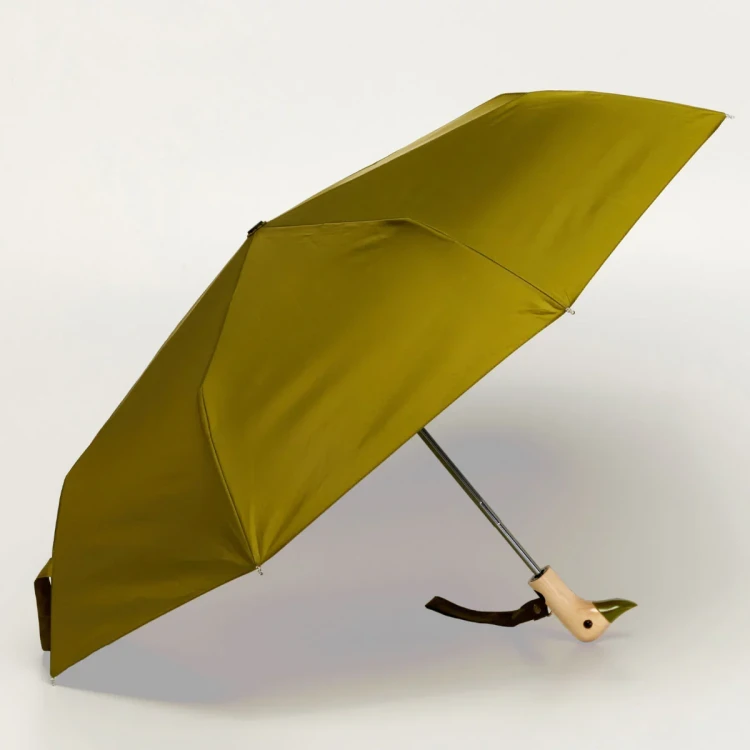 Olive-green-9.webp