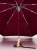 original-duckhead-cherry-wind-resistant-best-umbrella_4.webp